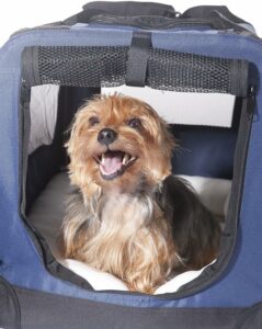 2PET Foldable Dog Crate