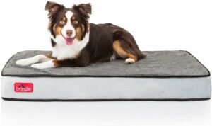 Brindle Waterproof Designer