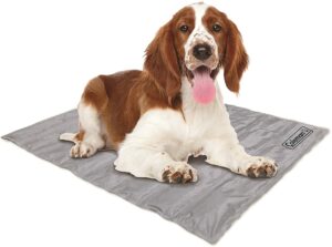 best dog cooling mat
