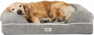 Friends Forever Memory Foam