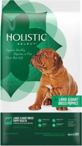Holistic Select Natural Dry Dog