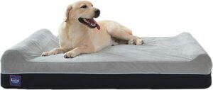 Laifug Orthopedic Memory Foam Extra Large Dog Bed