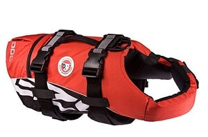 life-vest-for-bulldogs