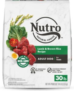 NUTRO NATURAL CHOICE
