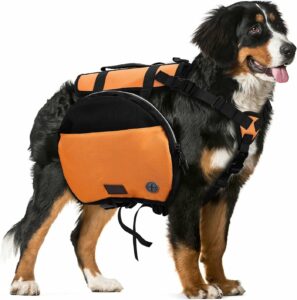 Ownpets Dog Backpack, Large
