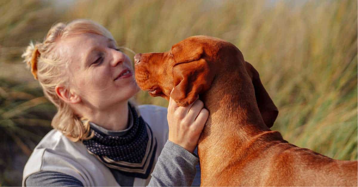 Pre and Pro biotics for Dogs