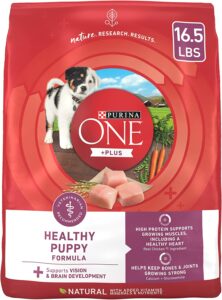 Purina ONE Plus Healthy