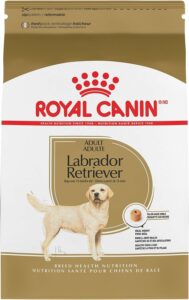 Royal Canin Labrador