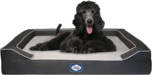 Sealy Lux Pet Dog Bed