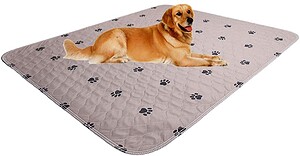 The Best Carpet for Pets - 5 Top Picks Your Dog Will Love! 6 SincoPet Reusable Pee Pad + Free Puppy Grooming