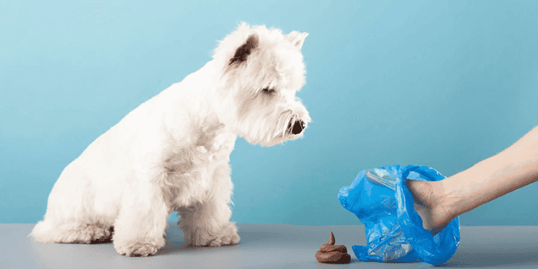 are dog poop bags smell proof