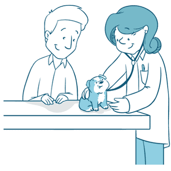 Are English Bulldogs Unhealthy