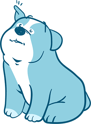 Bulldog Cropped Ears: What You Need to Know