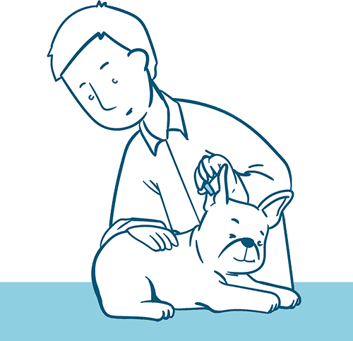 Tips for Preventing Bulldog Ear Infections