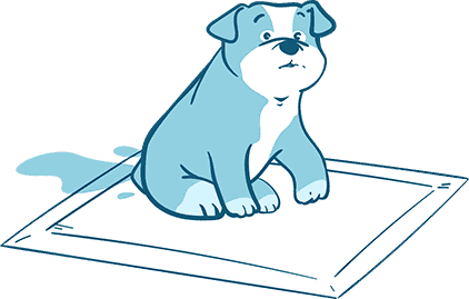 French and English Bulldog Potty Training: Do's and Don'ts You Need to Know