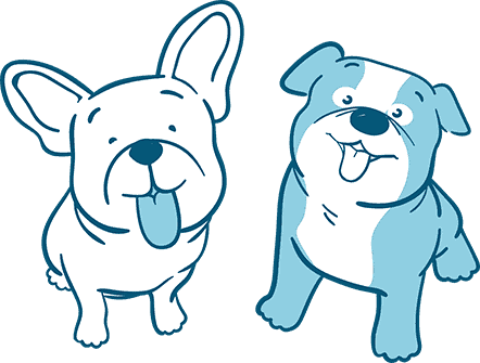 The-Difference-Between-an-English-and-a-French-Bulldog