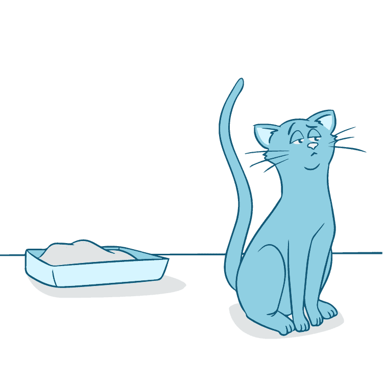 cat litter training pads