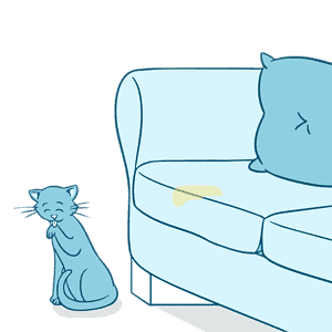 2. Using Pee Pads for Cats Who Like to Spray Everywhere to Mark Territory