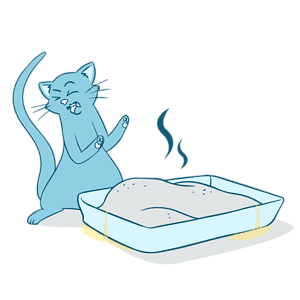 4. Pet Pee Pads for Cats Who Don’t Like to Use the Litter Box Too Much