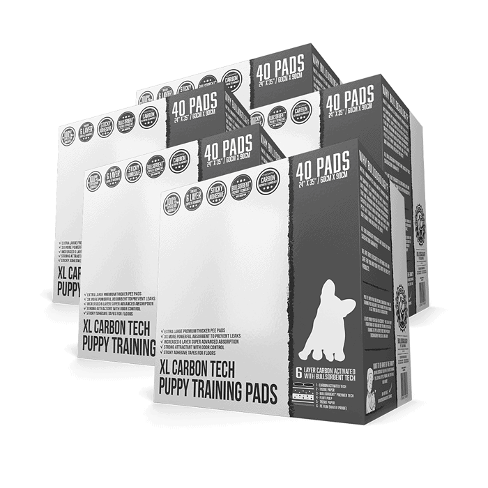 Charcoal 5x Bundle Set