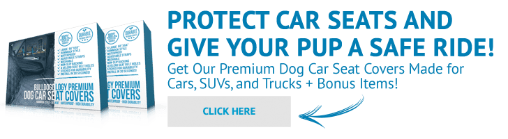 Dog Travel Car Seat Covers