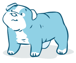 howtopottytrainapuppy