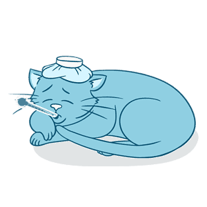 Pee Pads for Cats Who are Too Old, Sick or Injured to Use the Litter Box