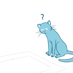 1. Use Pee Pads for Cats When Your Cat Refuses to Use the Litter Box